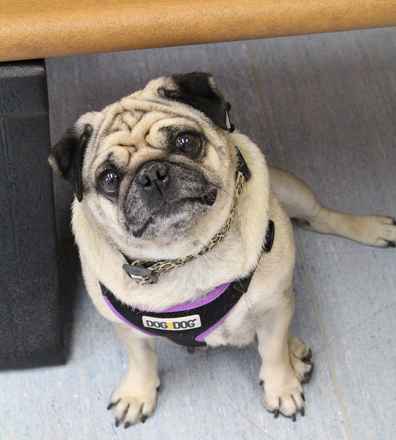Ethel
