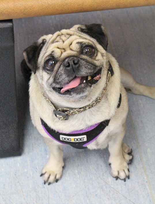 Ethel
