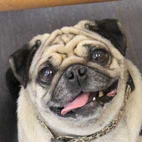 Ethel