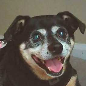 Tobias