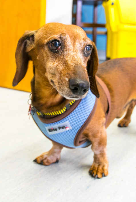 Paolo