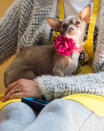 Audrey