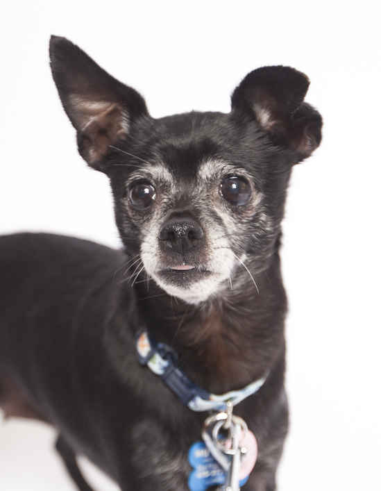 Lupita