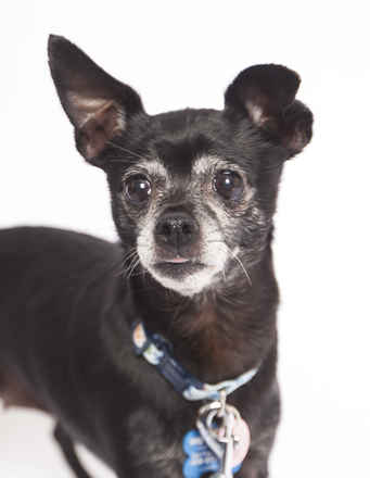 Lupita