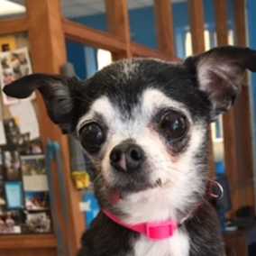 Minnie