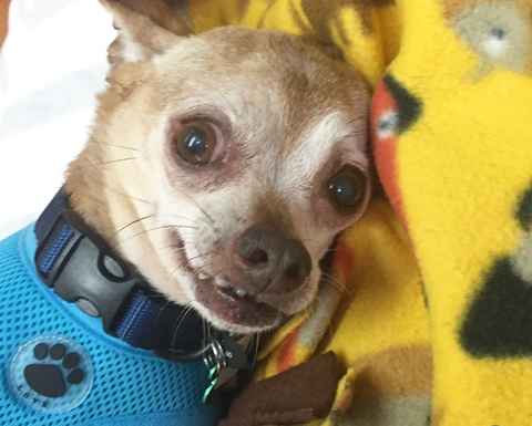 Carlos