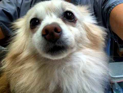 Esme