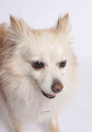 Esme