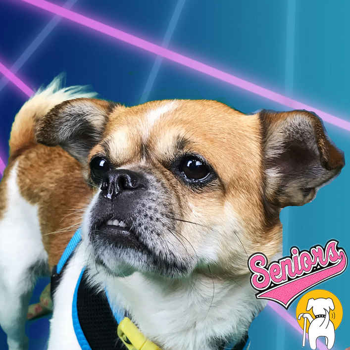 Peanut
