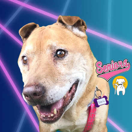 Starla