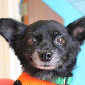 Memphis