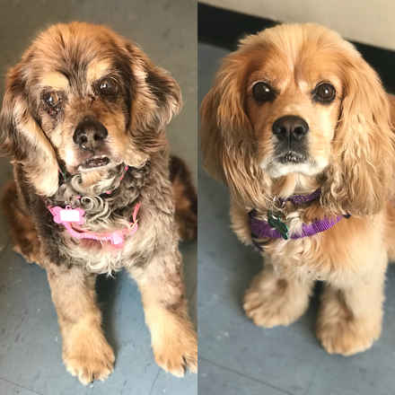 Loretta & Samantha