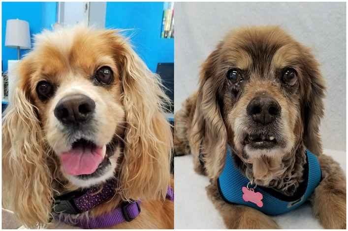 Loretta & Samantha