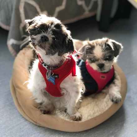 Chazzie & Chelsea