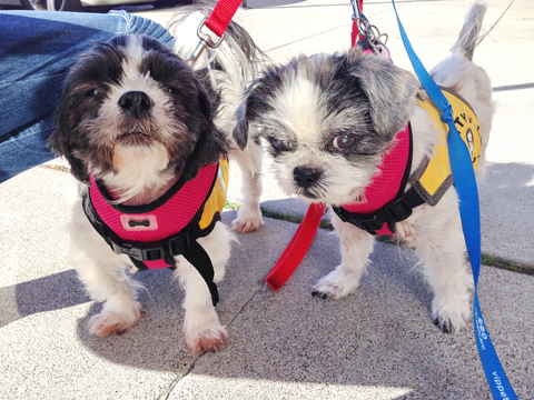 Chazzie & Chelsea