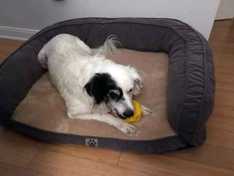 Edie