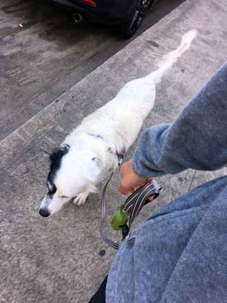 Edie