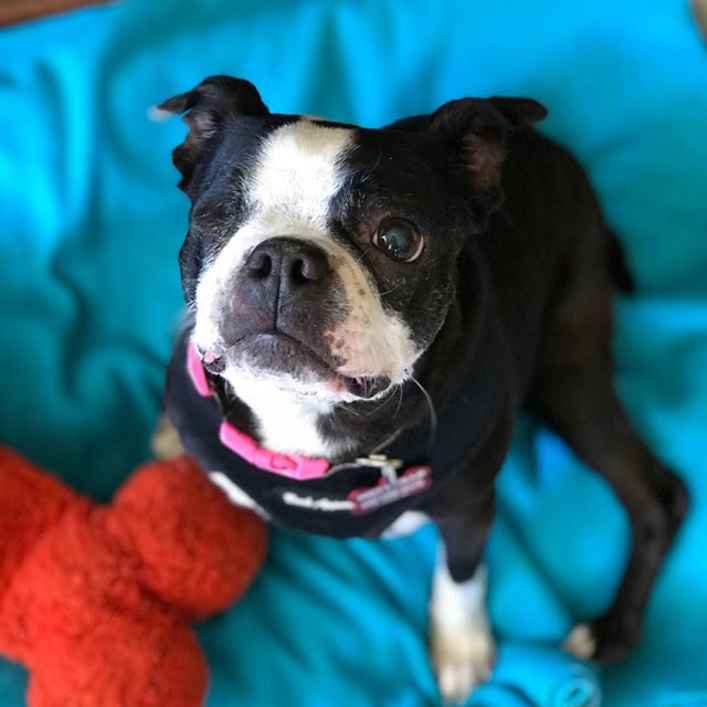 Cleo