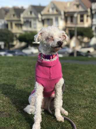 Eleven
