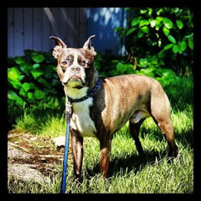 Duke