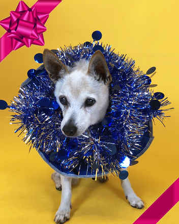 Jingle