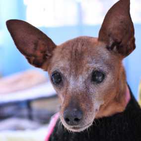 Citrine