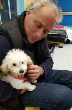 Winnie The Poodle