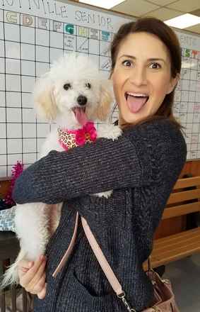 Winnie The Poodle