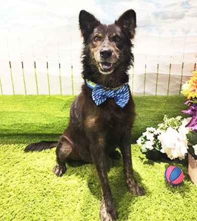 Howard