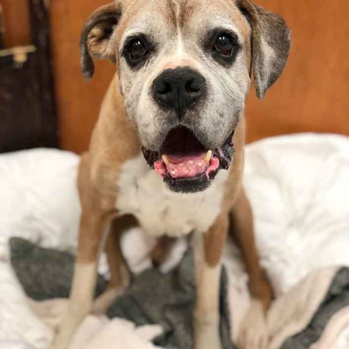Tyson