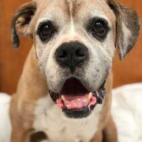 Tyson