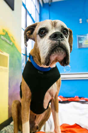 Tyson