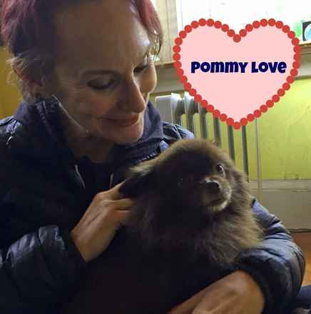 Pommie
