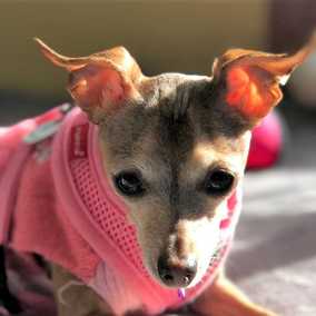 Felicity