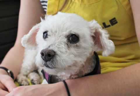 Mindy