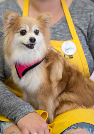 Diva