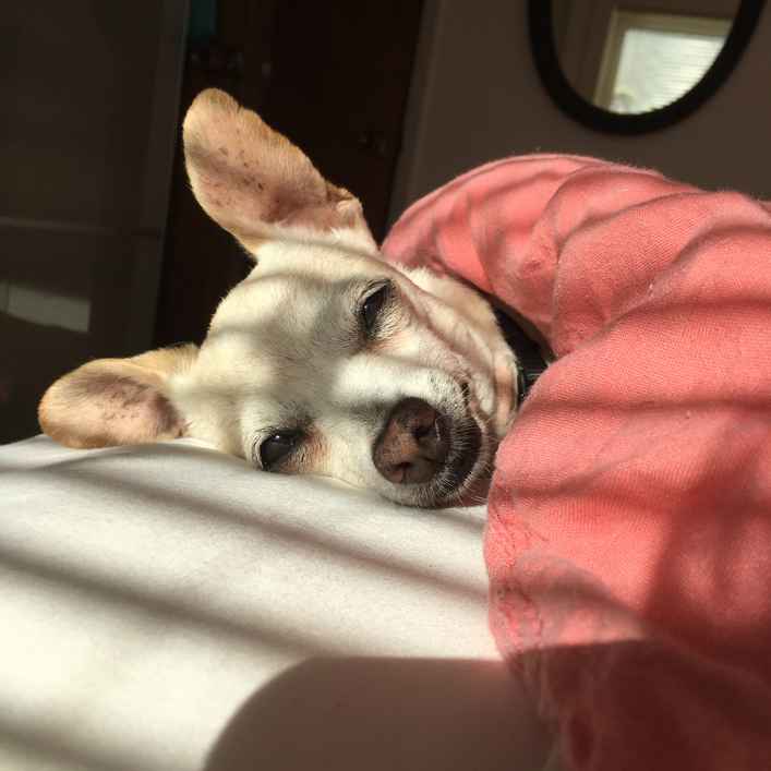 Mimi