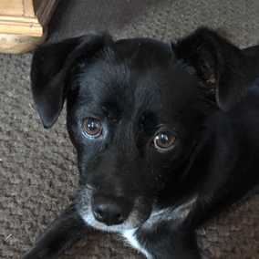 Izzie