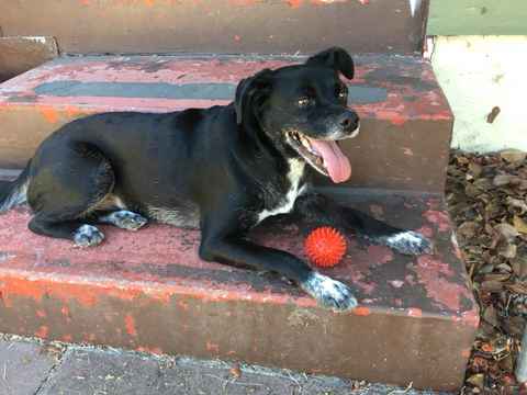 Izzie