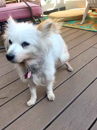 Jeannie