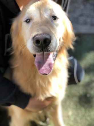 Marley