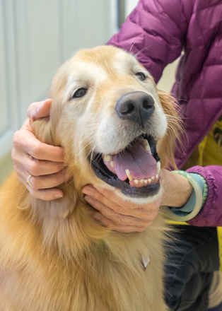 Marley