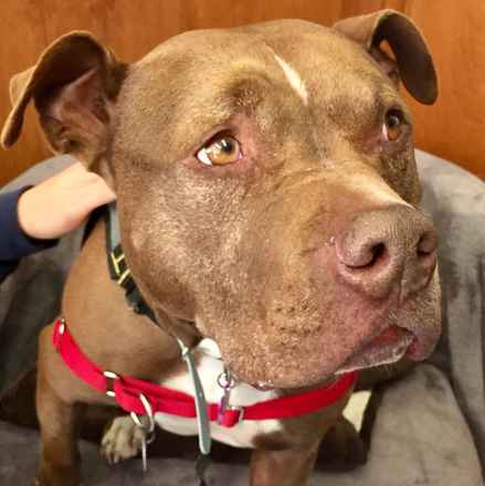 Kenzo