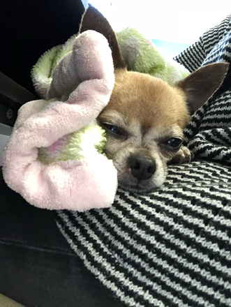 Squishy
