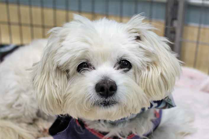 Wilma