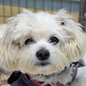 Wilma