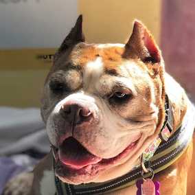 Betty