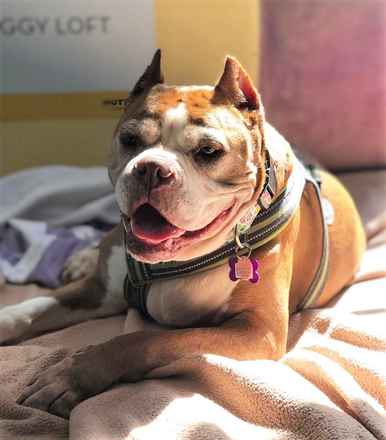 Betty