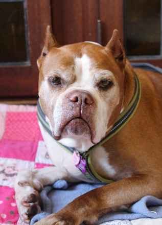 Betty