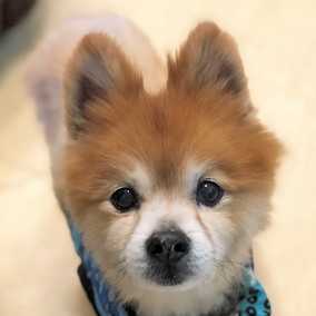 Bobby
